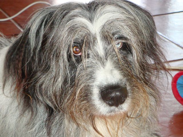 k-Balus Blick02 k-Balus Blick02