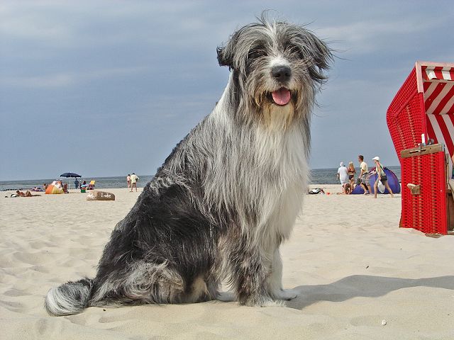 k-Strand Usedom k-Strand Usedom